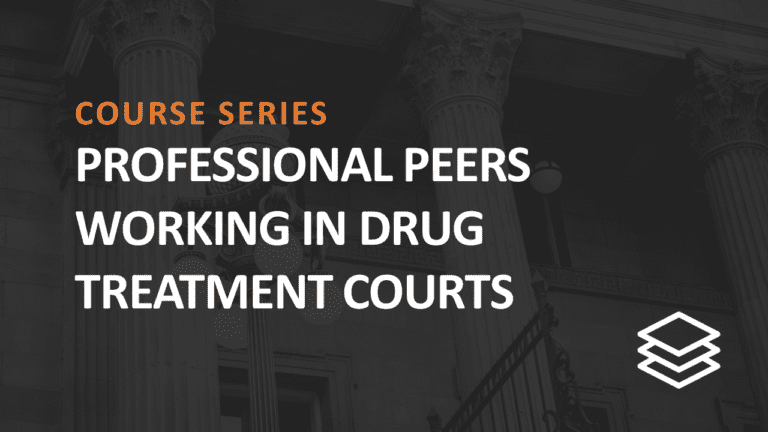 Series Completion - Professional Peers Working in Drug Treatment Courts ...